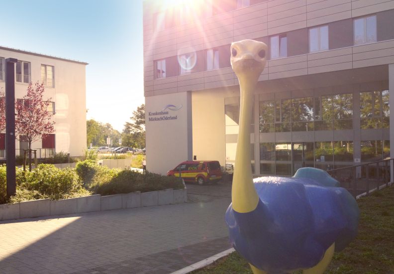 Strauß vor dem Krankenhaus